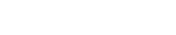 Saranac Lake Authority